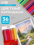 Карандаши цветные пластиковые 36 цветов «Гамма. Мультики», заточенные, ПВХ, европодвес (251220214) - Фото 1