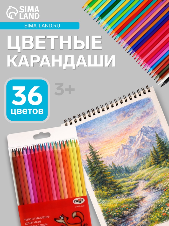 Карандаши цветные пластиковые 36 цветов «Гамма. Мультики», заточенные, ПВХ, европодвес (251220214) - Фото 1