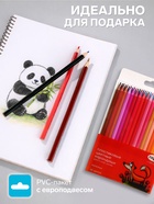 Карандаши цветные пластиковые 36 цветов «Гамма. Мультики», заточенные, ПВХ, европодвес (251220214) - Фото 2