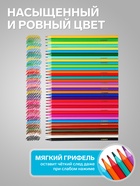 Карандаши цветные пластиковые 36 цветов «Гамма. Мультики», заточенные, ПВХ, европодвес (251220214) - Фото 3