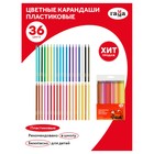 Карандаши цветные пластиковые 36 цветов «Гамма. Мультики», заточенные, ПВХ, европодвес (251220214) - Фото 5