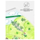 Карандаши цветные пластиковые 36 цветов «Гамма. Мультики», заточенные, ПВХ, европодвес (251220214) - Фото 7