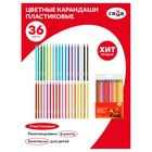 Карандаши цветные пластиковые 36 цветов «Гамма. Мультики», заточенные, ПВХ, европодвес (251220214) - Фото 8