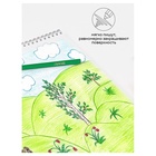 Карандаши цветные пластиковые 36 цветов «Гамма. Мультики», заточенные, ПВХ, европодвес (251220214) - Фото 10