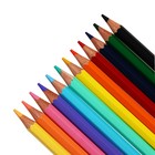 Карандаши цветные 12 цветов (6 классич. + 6 пастельных), Гамма "Оранжевое солнце", заточенные, картонная упаковка, европодвес 80220228 - Фото 2