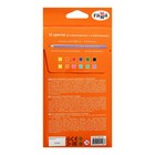 Карандаши цветные 12 цветов (6 классич. + 6 пастельных), Гамма "Оранжевое солнце", заточенные, картонная упаковка, европодвес 80220228 - Фото 3