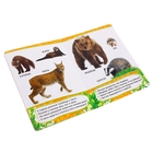 Всё-всё-всё для малышей "Кто живет в лесу?" - Фото 2