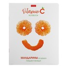 Тетрадь А5, 48 листов клетка Vitamin C, обложка мелованный картон, выборочный лак, скругленые углы, блок 65 г/м2, 5 видов МИКС 9852055 - фото 169826