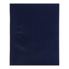 Тетрадь А5, 48 листов клетка Синяя, обложка бумвинил,блок 60 г/м2 - фото 319662997