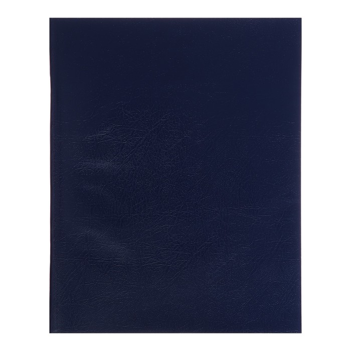Тетрадь А5, 48 листов клетка Синяя, обложка бумвинил,блок 60 г/м2