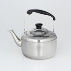 Чайник со свистком из нержавеющей стали, 3 л, цвет хромированный - фото 319756253