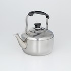 Чайник, 3 л, со свистком, нержавеющая сталь, цвет хромированный - Фото 2