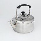 Чайник со свистком из нержавеющей стали, 5 л, цвет хромированный - Фото 2