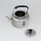 Чайник со свистком из нержавеющей стали, 5 л, цвет хромированный - фото 4603311
