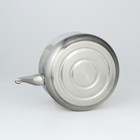 Чайник со свистком из нержавеющей стали, 5 л, цвет хромированный - фото 4603312