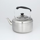 Чайник со свистком из нержавеющей стали, 6 л, цвет хромированный - фото 50418522