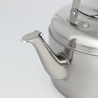 Чайник со свистком из нержавеющей стали, 6 л, цвет хромированный - фото 4386502