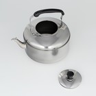 Чайник со свистком из нержавеющей стали, 7 л, цвет хромированный - фото 4386513