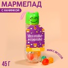 Мармелад «Милашке-мордашке» с начинкой, 45 г. 9545118 - фото 10701852