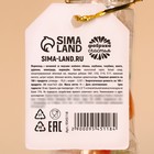 УЦЕНКА Мармелад «Милашке-мордашке», 45 гр - Фото 4