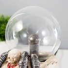 Плазменный шар «Череп» цветной 12×17×20 см RISALUX - Фото 9