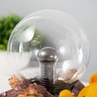 Плазменный шар "Мишка" цветной 14х12х17 см RISALUX - Фото 9