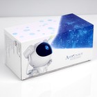 Световой прибор «Космонавт» 22 см, свечение RGB, пульт ДУ, 5 В 9616742 - фото 16548806