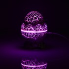Световой прибор «Яйцо динозавра» 10 см, динамик, съёмная полусфера, свечение RGB, пульт ДУ, USB, белый - Фото 15