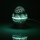 Световой прибор «Яйцо динозавра» 10 см, динамик, съёмная полусфера, свечение RGB, пульт ДУ, USB, белый - Фото 17