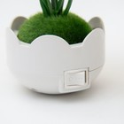 Ночник RISALUX «Цветы», LED, RGB, 5×8×12 см - Фото 6