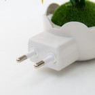 Ночник RISALUX «Цветы», LED, RGB, 5×8×12 см - Фото 7