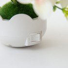 Ночник "Букет цветов" LED RGB 5х8х12 см - фото 24305155