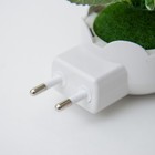 Ночник "Букет цветов" LED RGB 5х8х12 см - фото 24305156