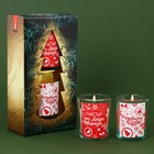 Новогодние свечи в стакане «Счастья от Деда Мороза», корица и апельсин, набор 2 шт. - фото 299536036