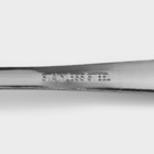 Ложка столовая из нержавеющей стали Доляна «Оптима», длина 17.7 см, толщина 1.2 мм, серебристая - Фото 3