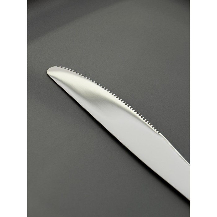 Нож столовый из нержавеющей стали Доляна «София», длина 20,8 см, толщина 4 мм - фото 1909248454