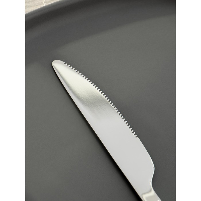 Нож столовый из нержавеющей стали Magistro Gamburg, длина 20,8 см, толщина 4 мм, цвет серебряный - фото 1909248486