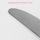 Нож столовый из нержавеющей стали Доляна «Верона», длина 22,5 см, толщина 3 мм, цвет серебряный - Фото 2