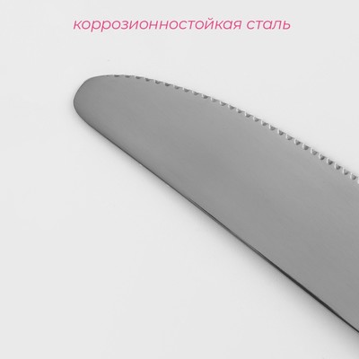Нож столовый из нержавеющей стали Доляна «Верона», длина 22.5 см, толщина 3 мм, серебристый