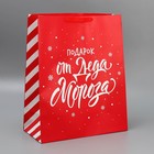 Набор новогодних пакетов «Новогодний подарок» 9612167