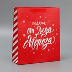 Набор новогодних пакетов «Новогодний подарок» 9612167