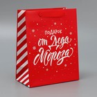 Набор новогодних пакетов «Новогодний подарок» 9612167