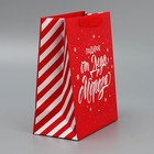 Набор новогодних пакетов «Новогодний подарок» 9612167