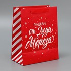 Набор новогодних пакетов «Новогодний подарок» 9612167