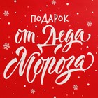 Набор новогодних пакетов «Новогодний подарок» 9612167