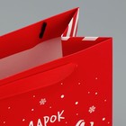 Набор новогодних пакетов «Новогодний подарок» 9612167