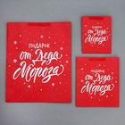 Набор новогодних пакетов «Новогодний подарок» 9612167