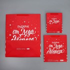 Набор новогодних пакетов «Новогодний подарок» 9612167