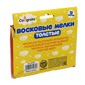

Карандаши восковые, 12 цветов, толстые, 93 х 11 мм, в картонной коробке