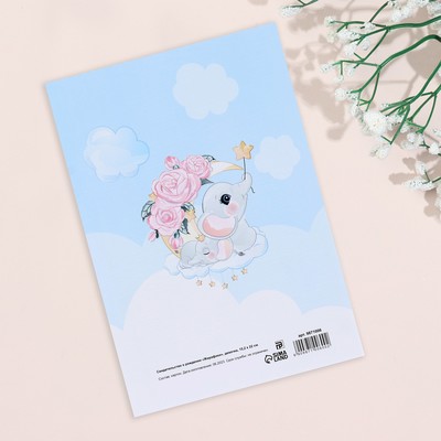 Папка под свидетельство о рождении «Жирафики», А5